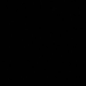 Meet your Posher, Owen